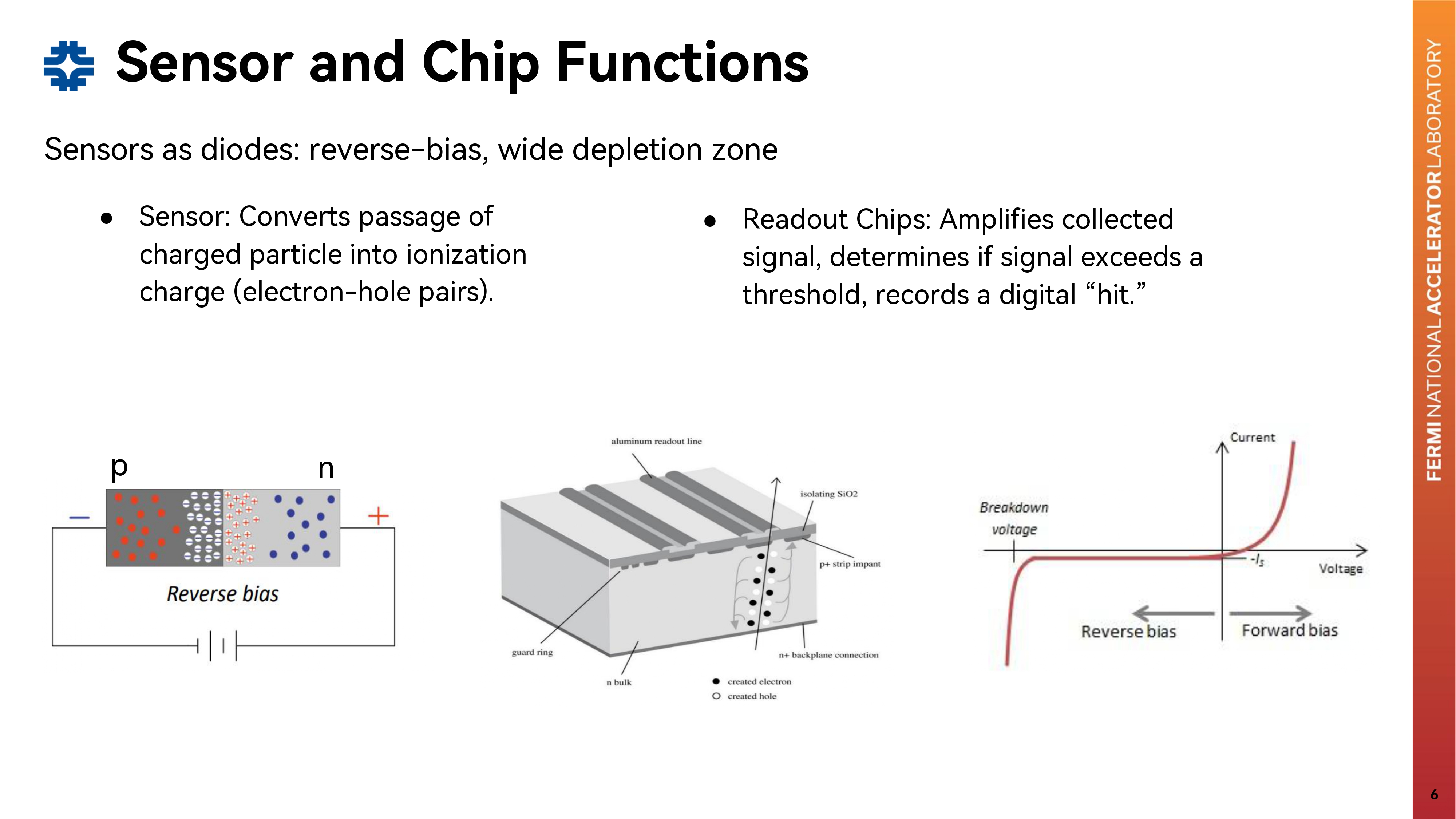Slide 6