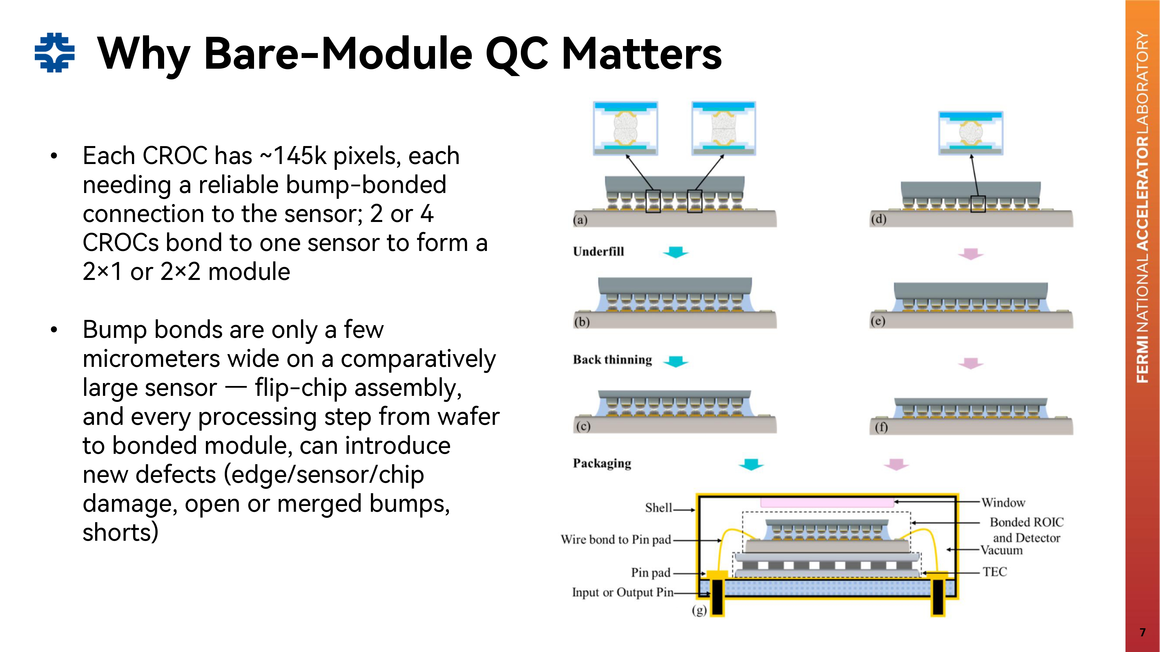 Slide 7