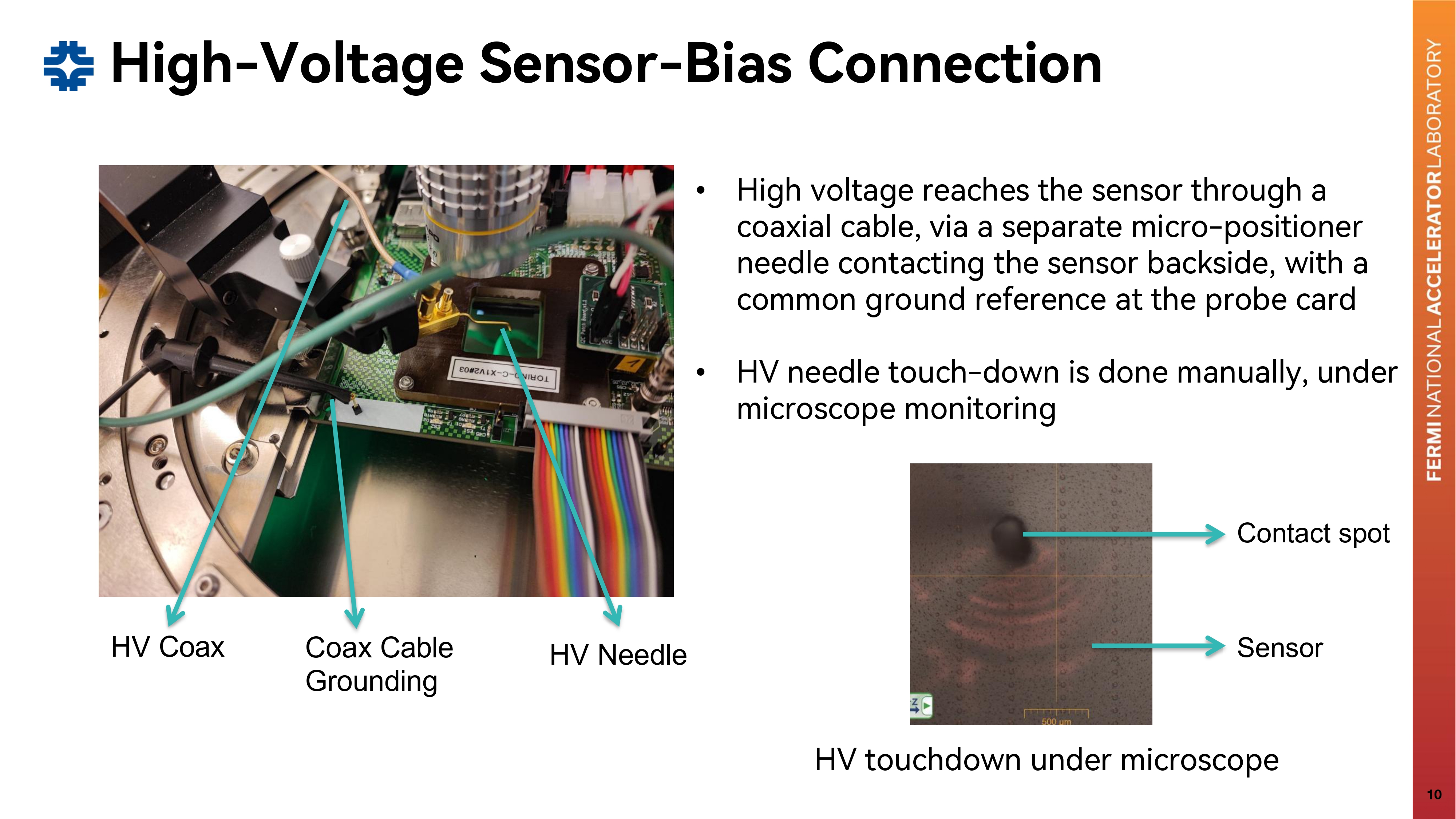 Slide 10
