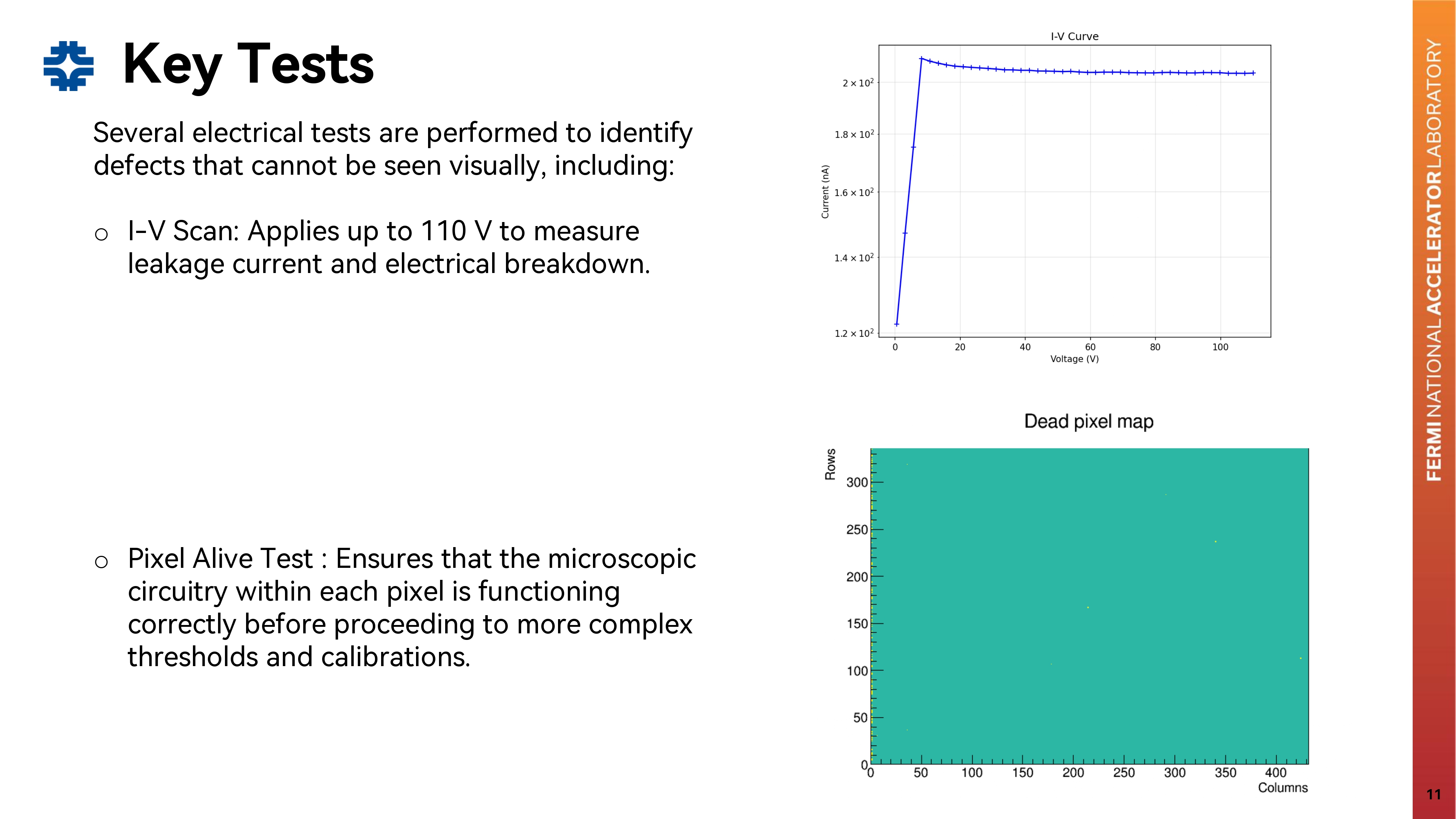Slide 11